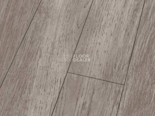 Ламинат Falquon Blue Line Wood 8mm D4187 WHITE OAK фото 1 | FLOORDEALER